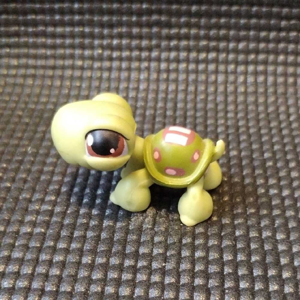 LPS - Green Turtle